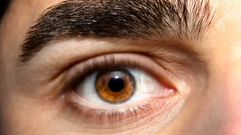 Close up of blinking a human eye 動画素材 289501488