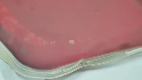 Close up blood bag. Stock Footage 108367855