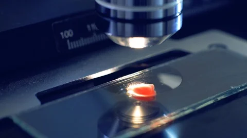 Close up of blood sample on a microscope glass Stock Footage 124161215