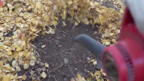 A close-up blower blows fallen leaves in a Russian courtyard Stock Footage 141461605