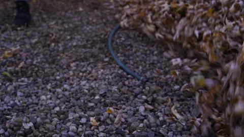 Close-up Blowing Fall Leaves to Reveal Stone Stock Footage 256119611