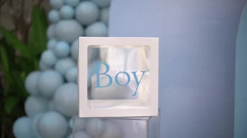 Close-up of Blue and Pink Balloon Garlands for Baby Gender Reveal Celebration Stock Footage 341008466