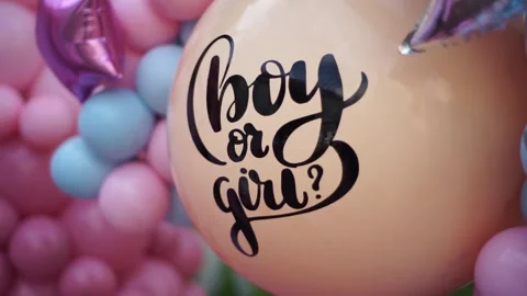 Close-up of Blue and Pink Balloon Garlands for Baby Gender Reveal Celebration Stock Footage 341015659