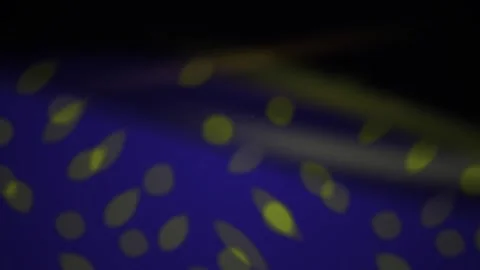 Close-up of blue and yellow dots. Видео 334517719