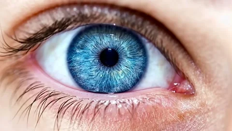 Close up of a blue blinking boy eye 動画素材 287958769