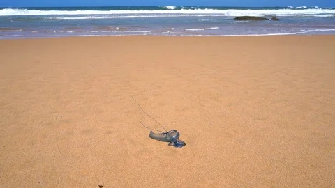 Close up of blue bottle on sandy ocean shore Stock Footage 72365157