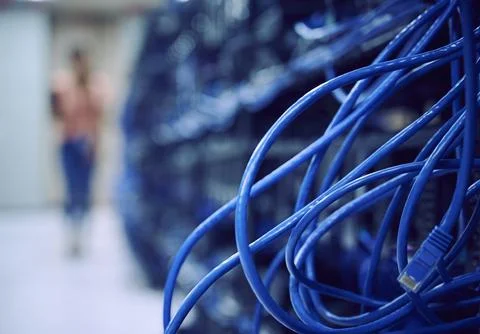 Close-up of blue cables in server room 写真素材