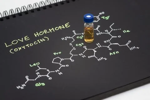 Close-up blue cap sample vial on notebook with chemical formula of Oxytocin.. Stock Photos