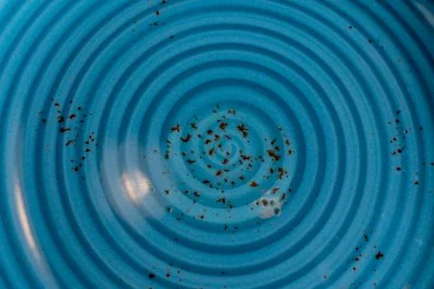 Close-up of a blue decorated plate Stock Photos