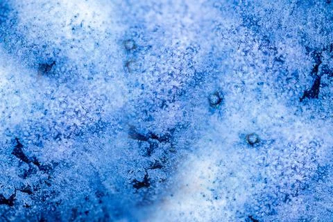 Close-up of blue easter eggs painted with natural dyes Foto stock