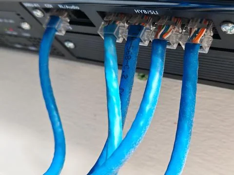 Close-Up Blue Ethernet Cables Connected to Network Device Stock Photos