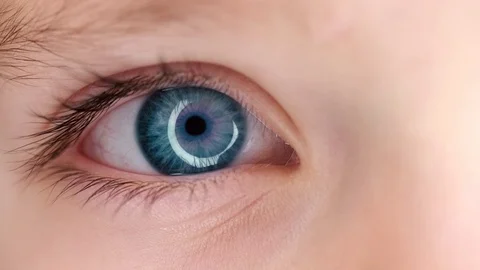 Close up of Blue Eye of Kid Blinking Stock Footage 125482254