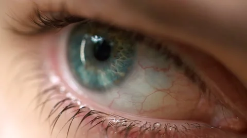 Close-up of blue green eye blinking in Slow Motion. Young man open eye. Stock Footage 168950238