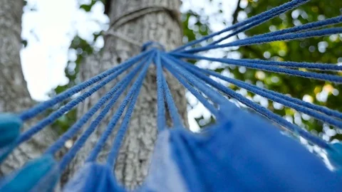 Close-up of a blue hammock swings on the tree Stock Footage 71250160