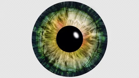 Close-up of a blue human iris with psychedelic multicolored patterns Stock Footage 275837418