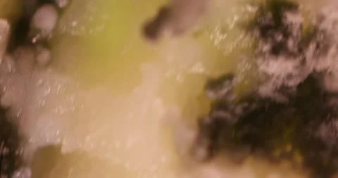 Close-Up of Blue Mold Growing on Cheese Surface Under Microscope Stock Footage 294262026