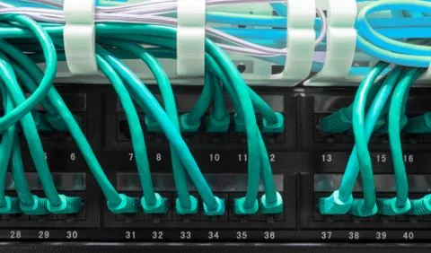 Close up of blue network cables connected to patch panel Foto stock