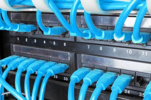 Close up of blue network cables connected to patch panel Foto stock