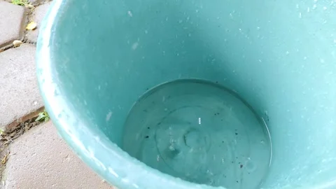 A close-up of a blue plastic bucket showing water droplets Stock Footage 304049852