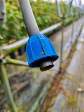 Close Up of Blue Plastic Cap on Black Pipe in Agricultural Setting Stock Photos