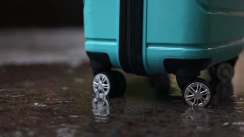 Close-up of blue suitcase wheels on wet pavement in autumn rain day, video 4k Stock Footage 292984239