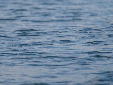 Close-up of a Blue Water Surface with Gentle Ripples Stock Photos