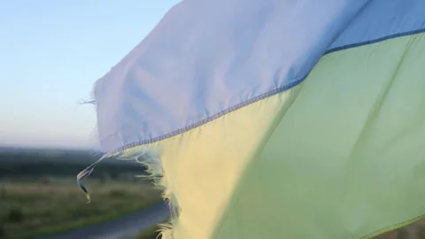 Close-up of a blue-yellow flag. torn flag of Ukraine develops in the wind. Video stock 249109611