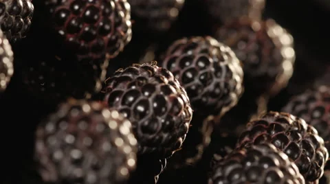 Close-up of blueberries on black background Stock Footage 39995171