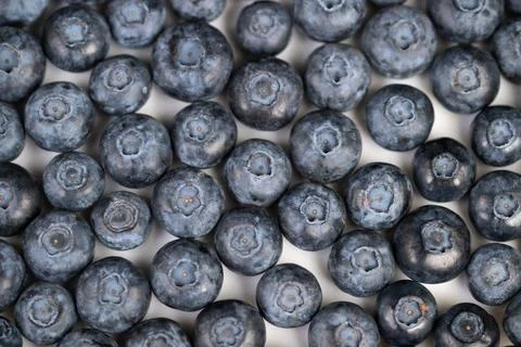 Close up blueberries in bulk, uniform sizing and matte bloom indicate commercial Stock Photos