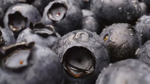 Close-up of blueberries  captured with a sliding motion. Stock Footage 313802122