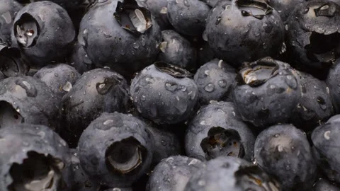 Close-up of blueberries  captured with a sliding motion. Stock Footage 313802124