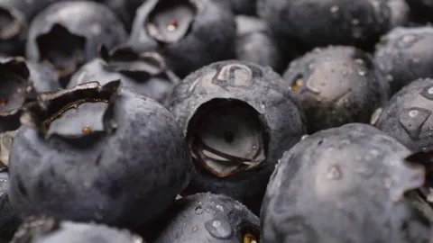Close-up of blueberries  captured with a sliding motion. Stock Footage 313802160
