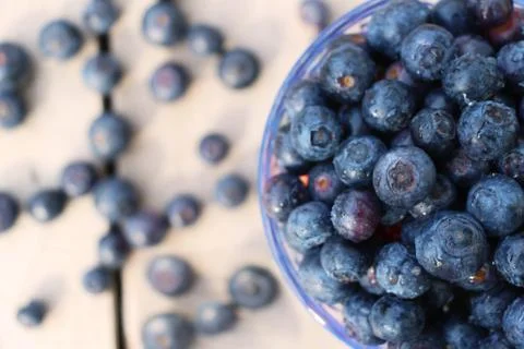 Close up of Blueberries Stock Photos