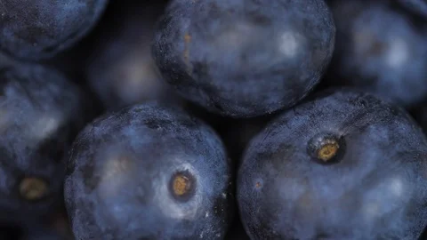 Close up of blueberries spinning 01 Video stock 110887815