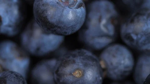 Close up of blueberries spinning 03 Vídeo Stock 110887740