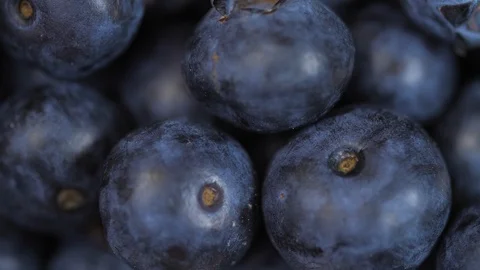 Close up of blueberries spinning 04 Video stock 110887736
