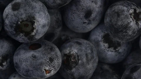 Close up blueberry Stock Footage 97289123
