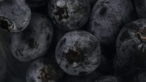 Close up blueberry Stock Footage 97289208