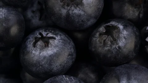 Close up blueberry Stock Footage 97289234