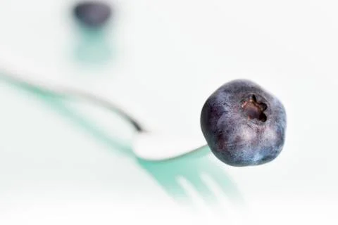 Close up of blueberry on fork. Stock Photos