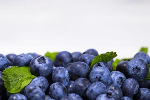 Close up of Blueberry With a Green Mint leaf on a white top view, Summer Stock Photos