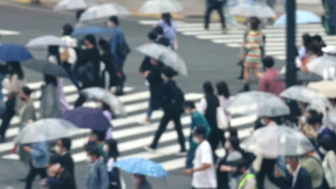 Close up blur Pan slow motion of pedestrian holding umbrella in rain Stock Footage 196077136