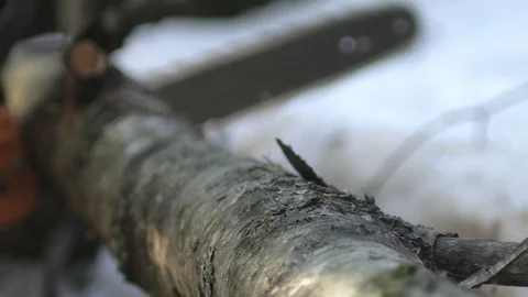 Close-up, blurred man saws sawing tree in winter 動画素材 90799520