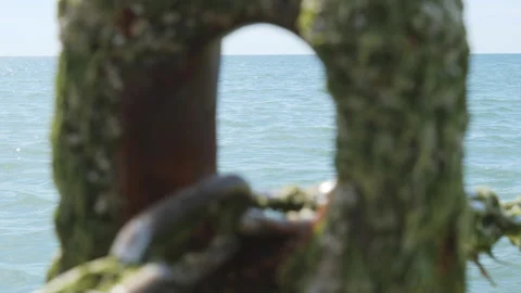 Close-up of a blurred moss-covered post looking out to the sea. Stock Footage 337662205