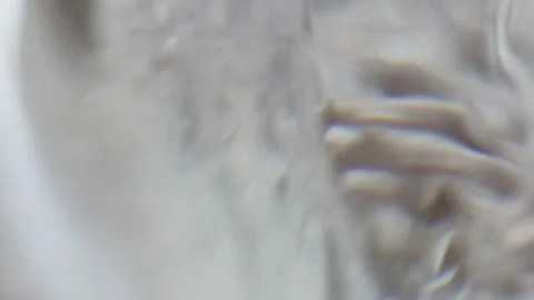 Close-up blurred water churning. 4k abstract footage Stock Footage 172442565