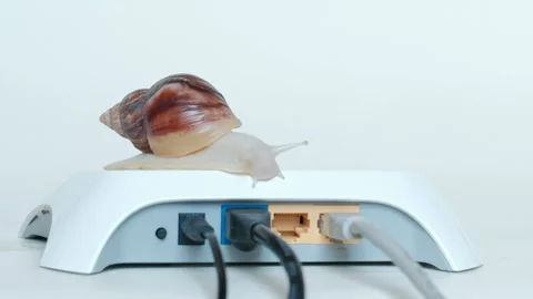 Close-up of the body of a large snail, which rises to a white router  Stock Footage 91407702