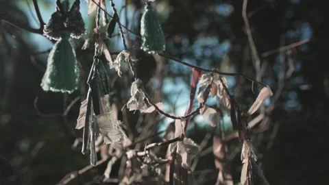 Close up of boho accessories hang on dry branch Stock Footage 133750728