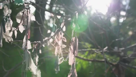 Close up of boho accessories hang on dry branch Stock Footage 133750877