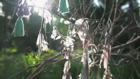 Close up of boho accessories hang on dry branch Stock Footage 135212070