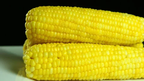 Close up boiled corn , in studio Chiangmai Thailand Stock Footage 137641307